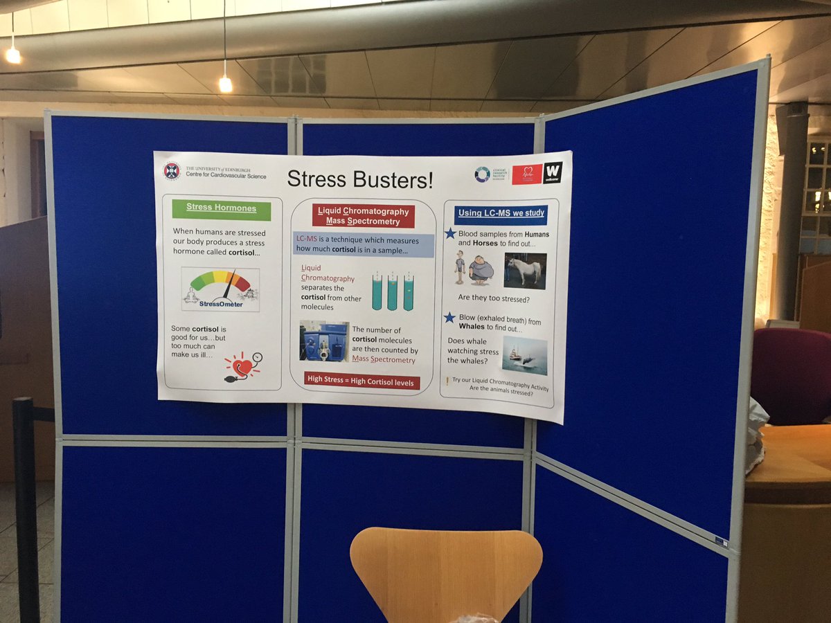 zinghomer's tweet image. Ready at Scottish Parliament today for @EdSciFest #EdUniEdSciFest @EdinUniCVS @EdinburghCRF with our ‘Stress Busters’ stand. Learn all about cortisol, chromatography and Mass Spectrometry @ruthmorgan31 @WhaleWiseLive
