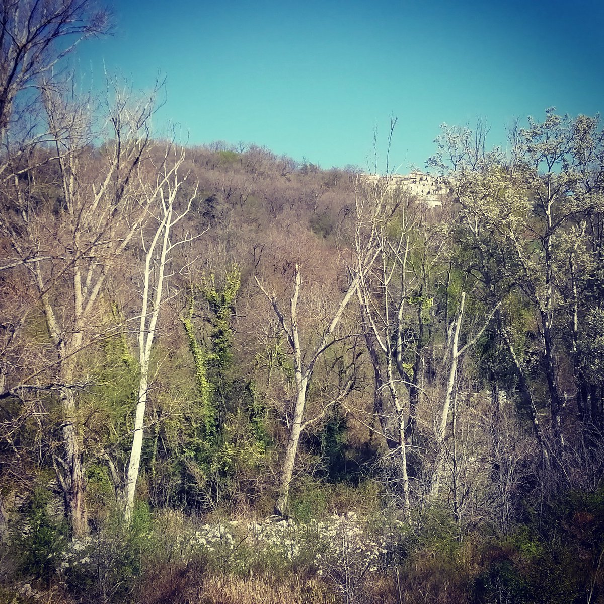 Erri5989's tweet photo. #colori #primavera #torrentesantospirito #viafrancigena #panorama #Buonalbergo #Sannio #Fortore https://t.co/fdRaOMiktq