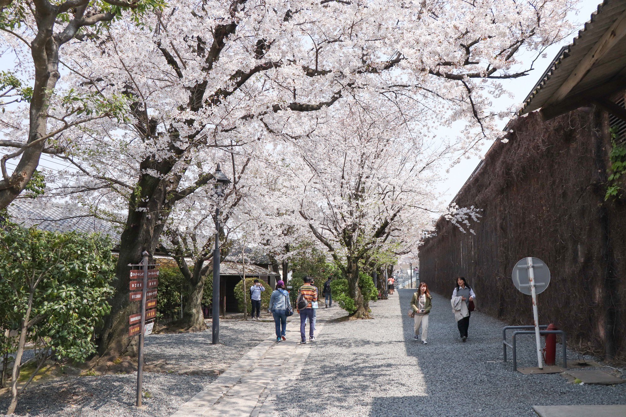 倉敷市 4月６日 美観地区の桜 天気も良く花見日和ですね 美観地区の桜もほぼ満開 ここ数日が見頃ではないでしょうか 観光客でにぎわっていて 桜を撮影する人も大勢おられましたよ 桜 さくら 花見 Sakura 倉敷市 倉敷 旅 旅行 美観地区