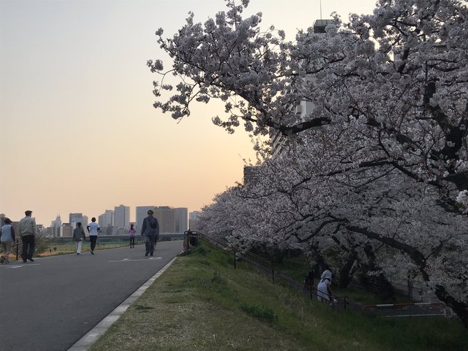 ぐうかや Uber Toushi さん がハッシュタグ 多摩川六郷橋緑地 をつけたツイート一覧 1 Whotwi グラフィカルtwitter分析 ぐうかや Uber Toushi さん がハッシュタグ 多摩川六郷橋緑地 をつけたツイート一覧 1 Whotwi グラフィカルtwitter分析