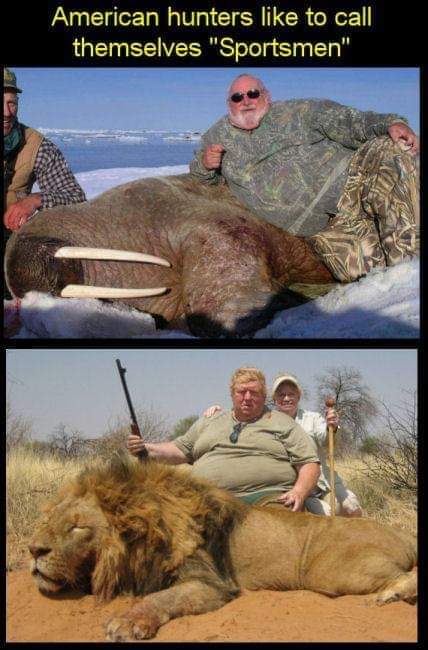 Trophy 'hunters' like to think of themselves as 'sportsmen'! 

I can think of something else but is ISN'T sport!!! 

RT if you want a GLOBAL ban on ALL #trophyhunting NOW. (Especially by FAT BASTARDS!!) @RickyGervais
