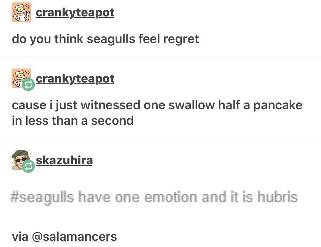 17.