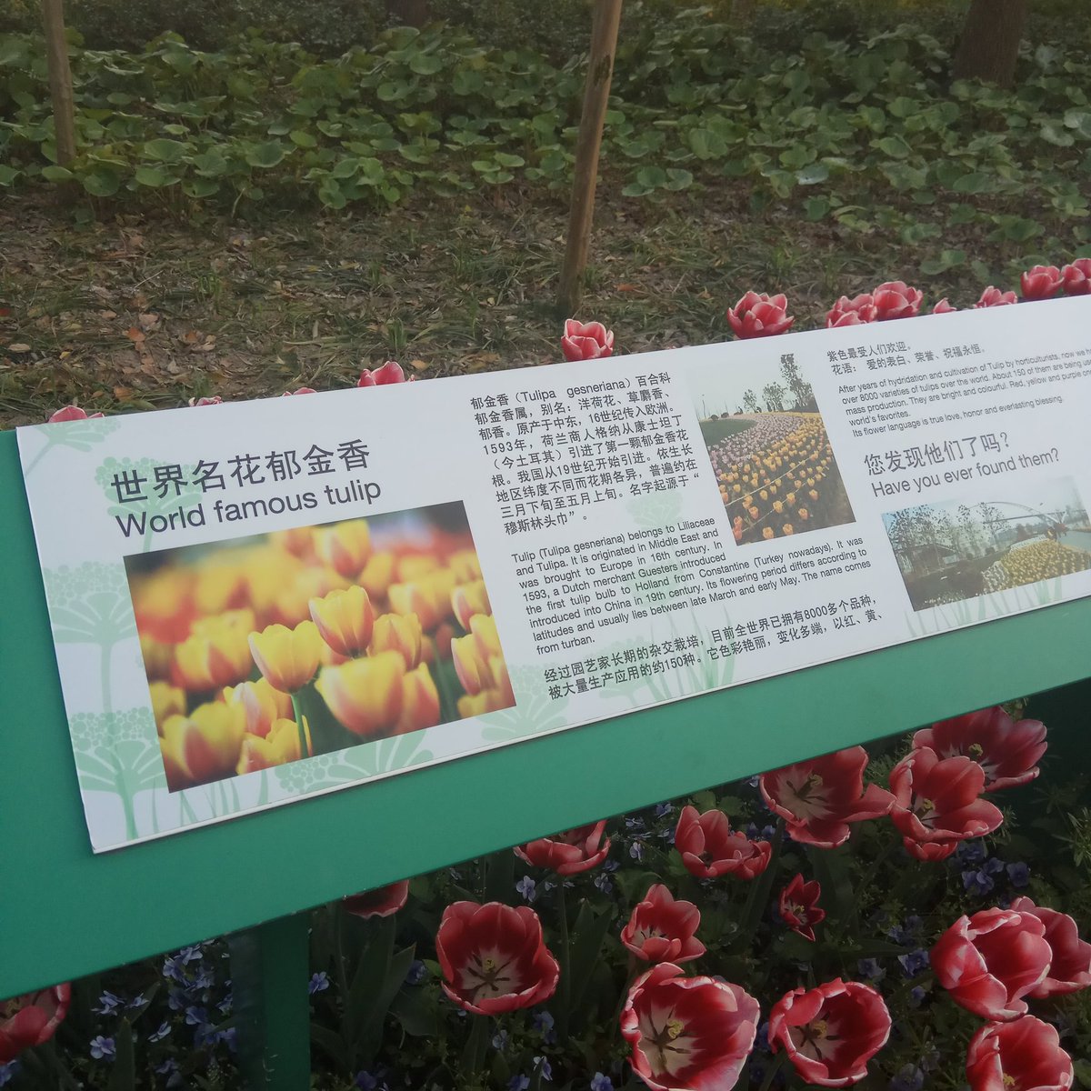 XU1979's tweet image. 长知识