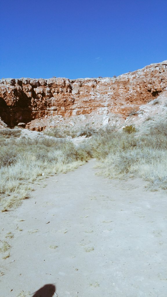 SergioASaenz1's tweet photo. One day everything will be back to normal $ $$$$$ https://t.co/XXFYkyOaeA
