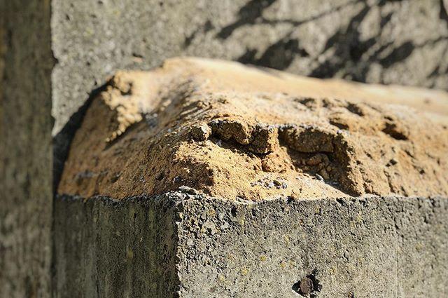 leGordeau's tweet photo. #concrete #construction #workingsite #menatwork #vscocam #vsco #shotoniphone https://t.co/txhRg2u4B1