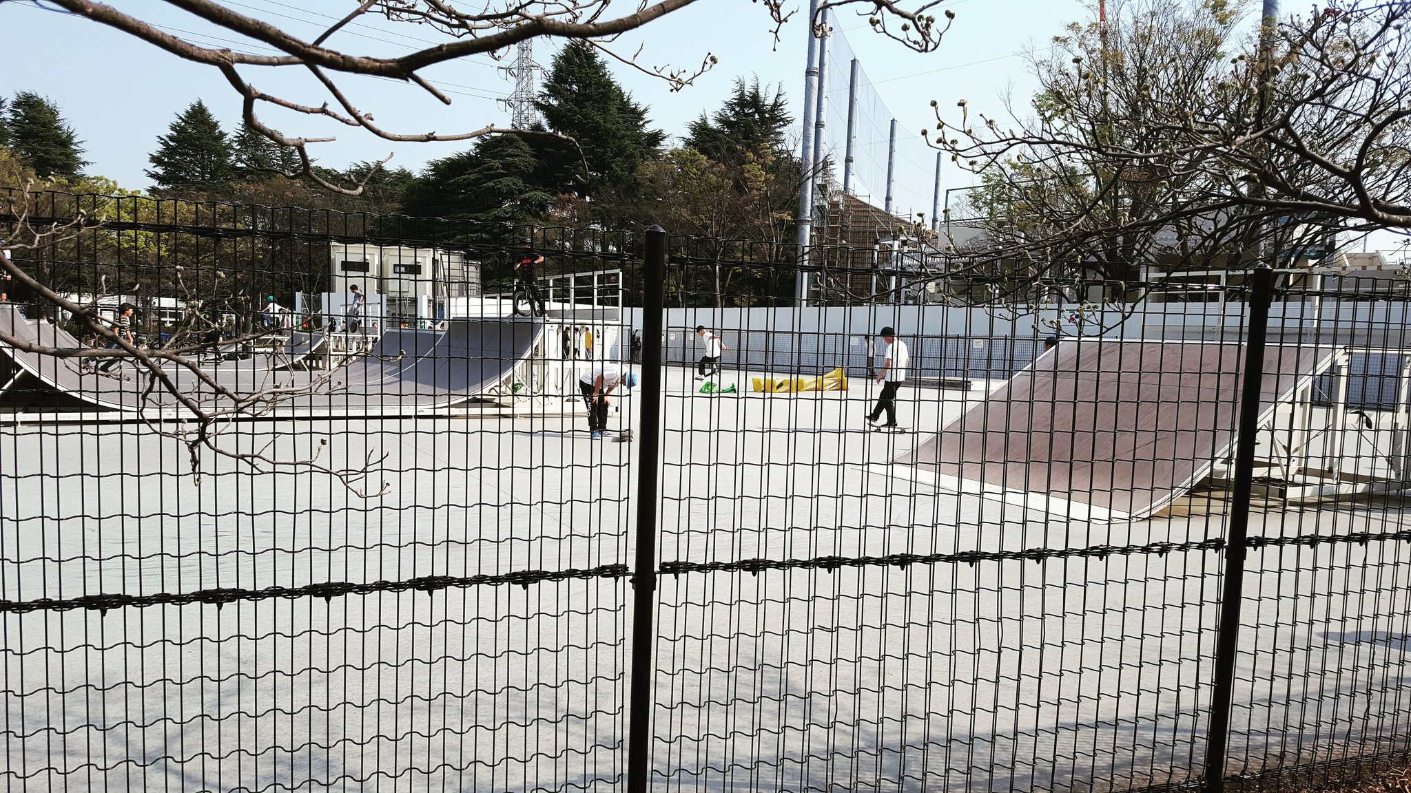 駒沢公園スケートパーク Twitter Search Twitter