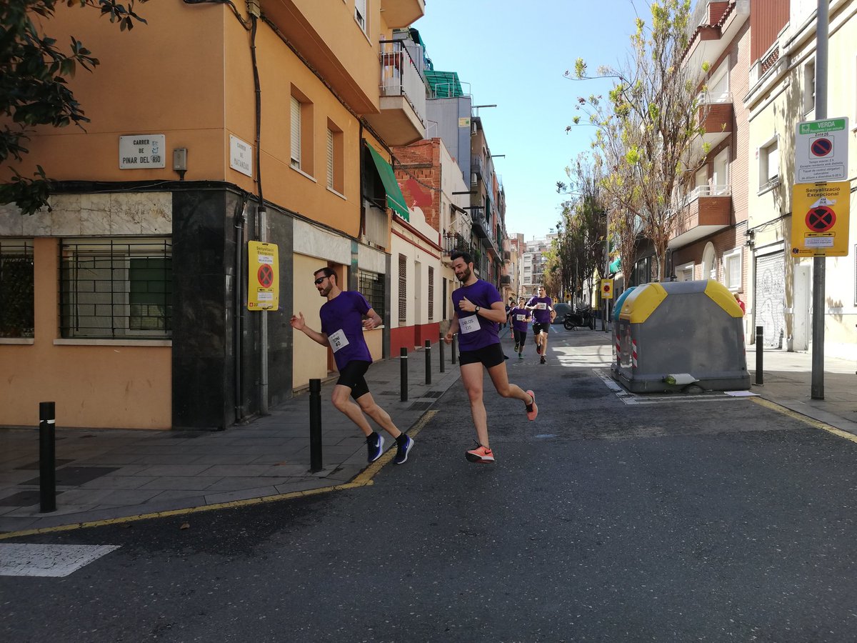 Escola Ramon Llull tweet media