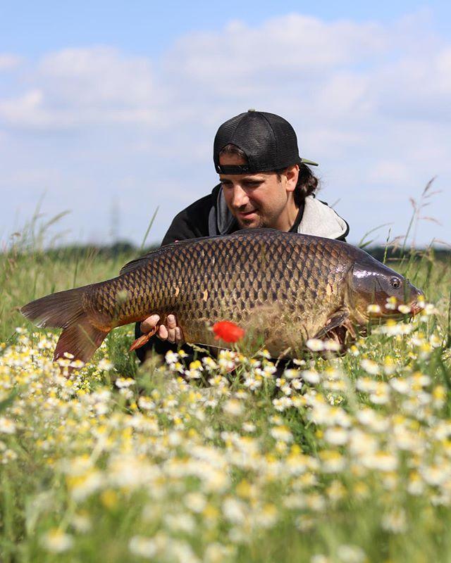 LKrasa's tweet photo. Someway a different scenery 🙂 👍 #lkbaits #onthebank #carpfishing #fishing #angling #karpfenangeln #angeln #rybolov https://t.co/GnpcN2b6m7