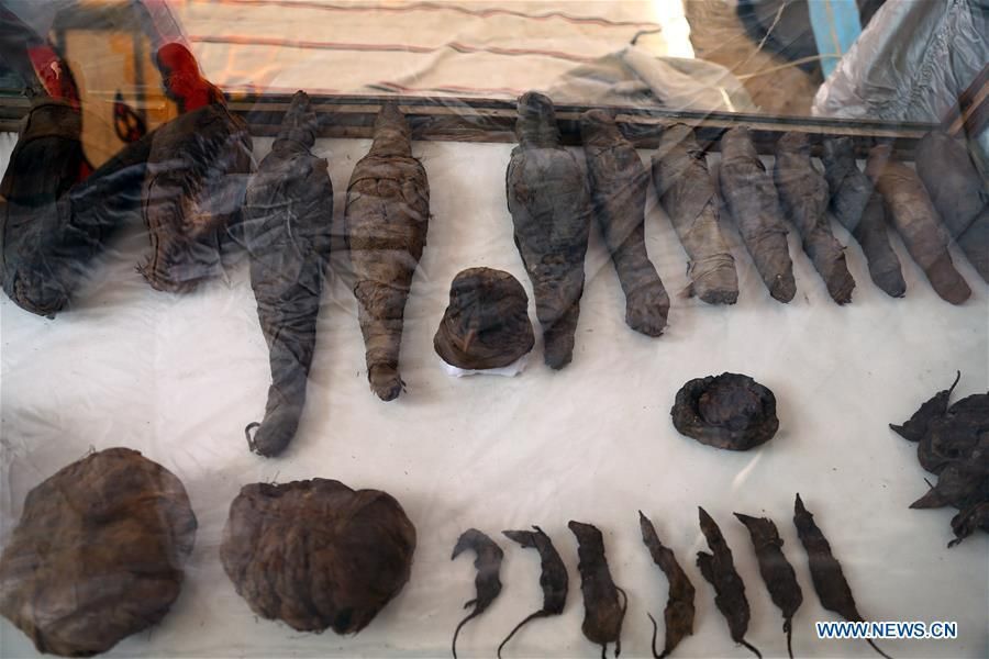 globaltimesnews's tweet photo. The Egyptian Minister of Antiquities announced on Friday the discovery of a tomb, dating back to the Ptolemaic era which spans from 305 BC to 30 BC, in Sohag province south of the capital Cairo. https://t.co/OQb8uRVi9F https://t.co/jcpG9JcidA