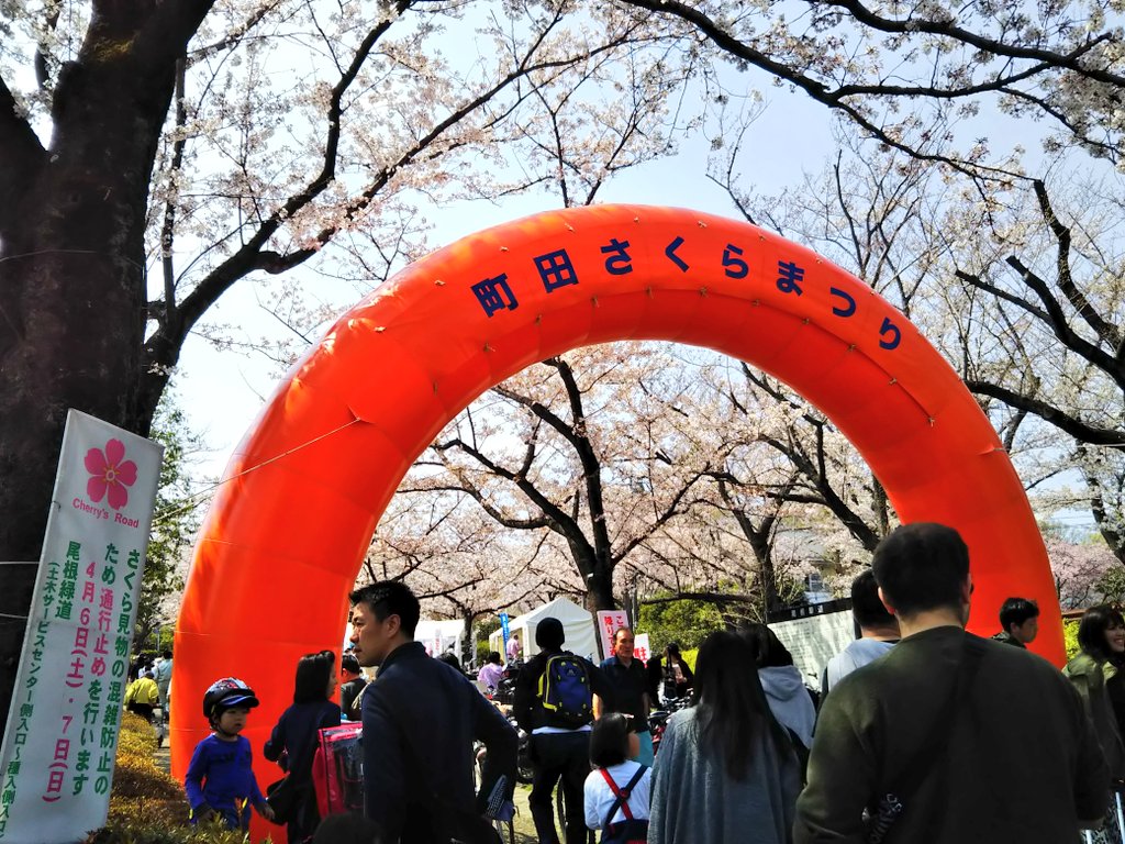 シルキー 町田のお散歩 町田さくらまつり 桜 尾根緑道