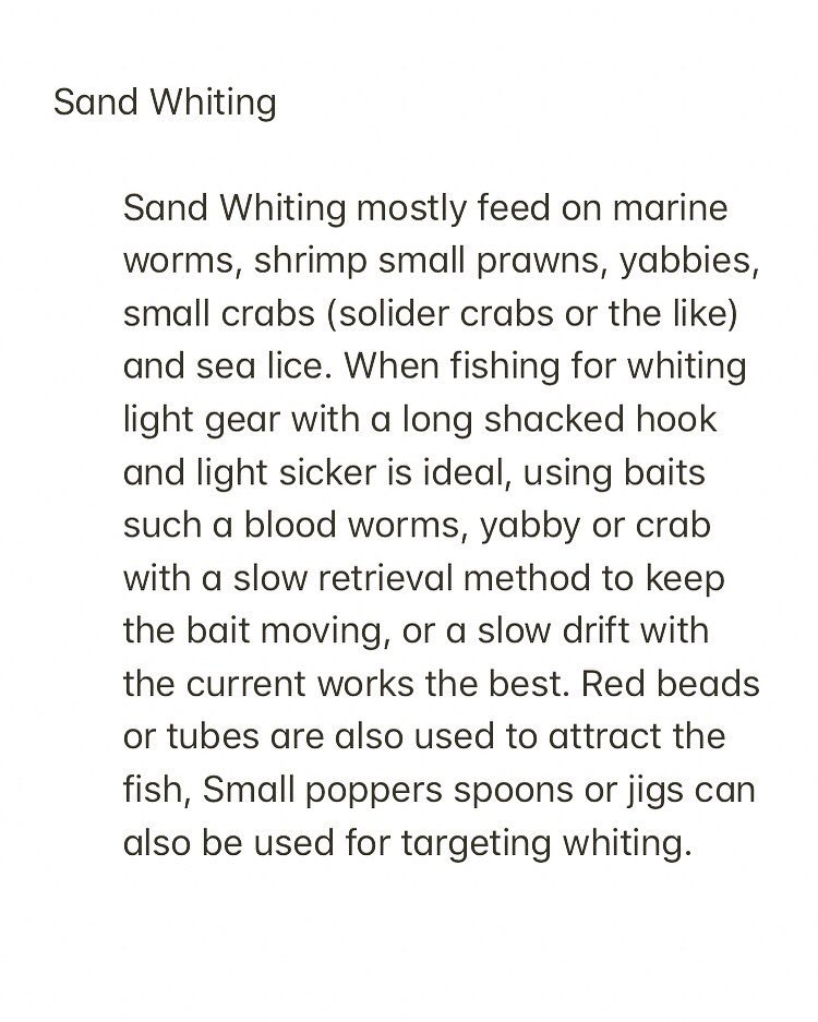 GollerDees's tweet photo. #whiting #whitingfish #whitingfishing #sand #sandwhiting #queensland #victoria #australia #fishing🎣 #fishing🐟 #australiafishing #fishingaustralia #ausfishing #fishingaus #educationquotes #tide #fishingweekend #goldcoastfishing #aussiefishing #lovefishing #fishinglove https://t.co/fvoHNJbli7