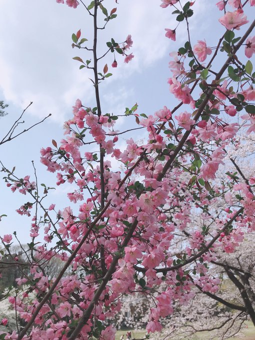 Twitterのコスプレ画像30