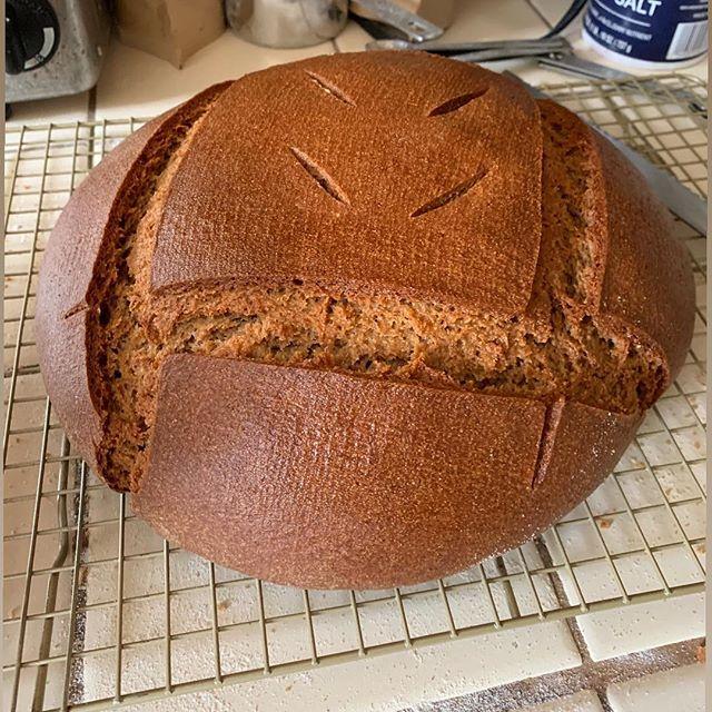 AdMasterCaplan's tweet photo. Success! #fromscratch #wholewheat #sourdoughbread #breadmaking #breadfromscratch #wholewheatbread #sourdough @thejoyofcooking @paulhollywoodbakes #homecooking #bread #wholewheatbread https://t.co/KxNcXdDDkH