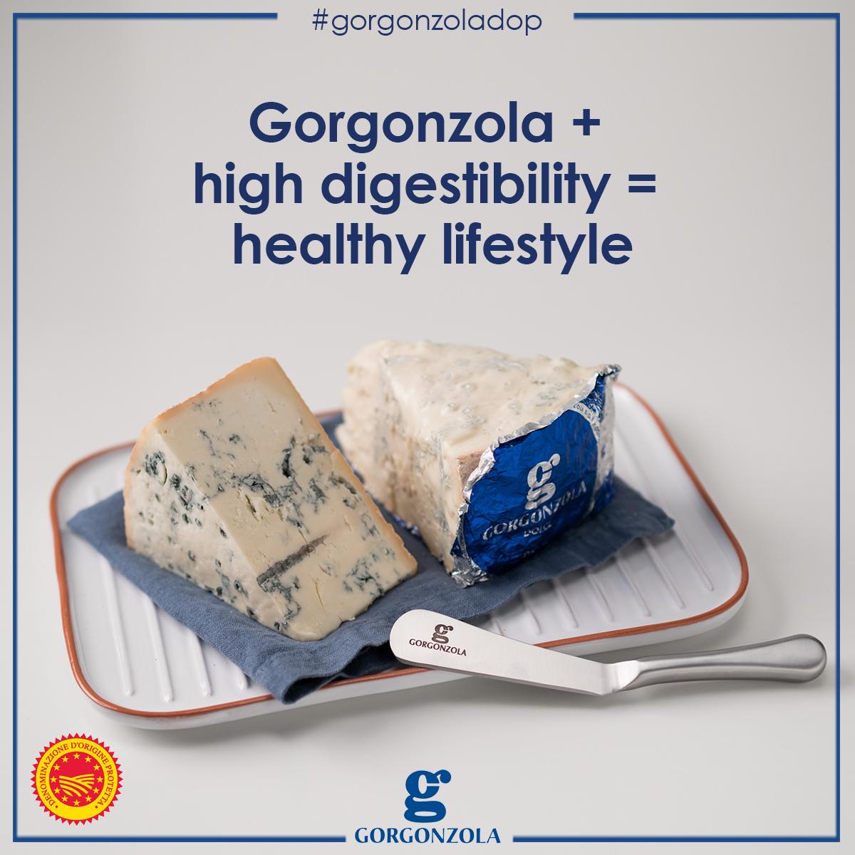 GorgonzolaPDO's tweet image. Gorgonzola + high digestibility = healthy lifestyle
#gorgonzolapdo #digestibility