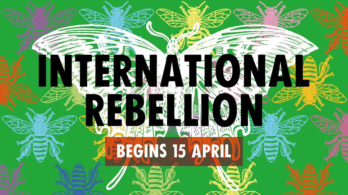 ExtinctionR's tweet photo. This is an emergency.

Our way of life is breaking the natural world.

Our leaders have failed us.

#RebelForlife to demand decisive action from governments on climate breakdown &amp; ecological collapse during #InternationalRebellion:

https://t.co/JdvNSaBWyS

If not you, then who? https://t.co/Qp6wLfs2B0