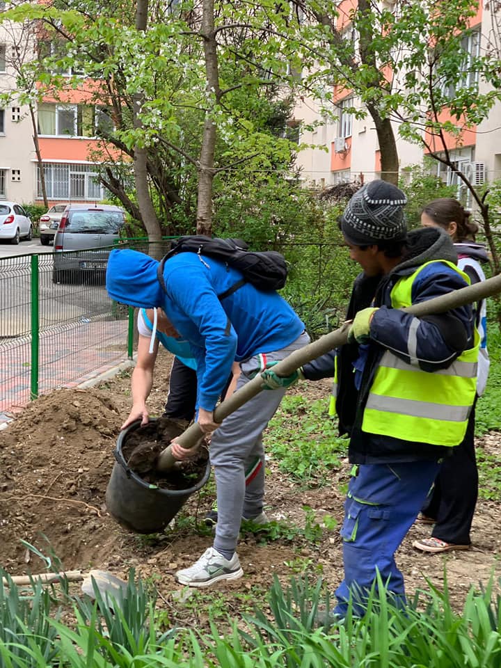 usr_oficial's tweet photo. Primarul Negoiță: Dacă vă pasă atât de mult de copaci ia plantați-i voi!
USR: Bine, dă-ne copaci.
Azi plantăm tei 🌳 în Sectorul 3. #MaiMultVerde 😇🌱🌿 https://t.co/eSaAoG3GBo