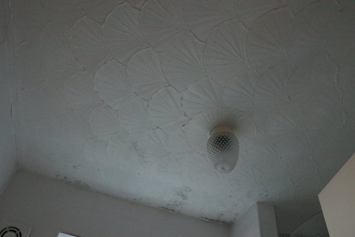 Bob_Fischer's tweet image. And I was delighted to realise that, although the rest of the bungalow has been completely (and very nicely) redecorated, the 1970s artex on the bathroom ceiling was still present and correct. #seashellpattern