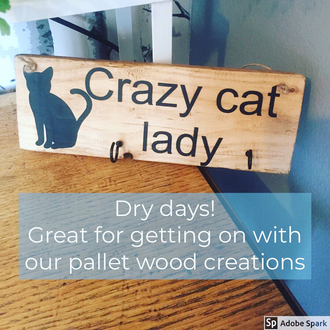 E_of_E_Design's tweet photo. Time to work on some #palletwood designs inspired by living with a #cat 

#crazycatlady https://t.co/0tO14DPrMW