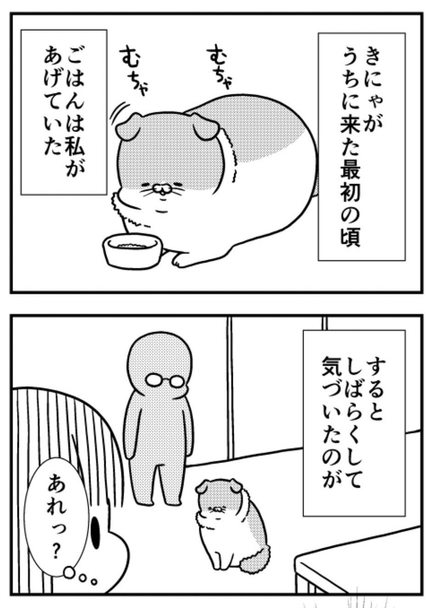 猫のきにゃと、ごとうさん(209) ごはん係が主人  #マイナビニュース
もう1人の人間を漫画に出すくらいネタがねえんだ… 