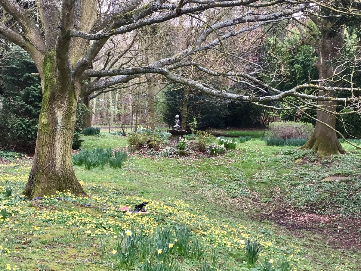 MangreenTrust's tweet photo. A little bit gloomy today.....but Summer is closing in! 🥳 #Norfolk #norfolkhour #wellbeing https://t.co/zepVbRhokl