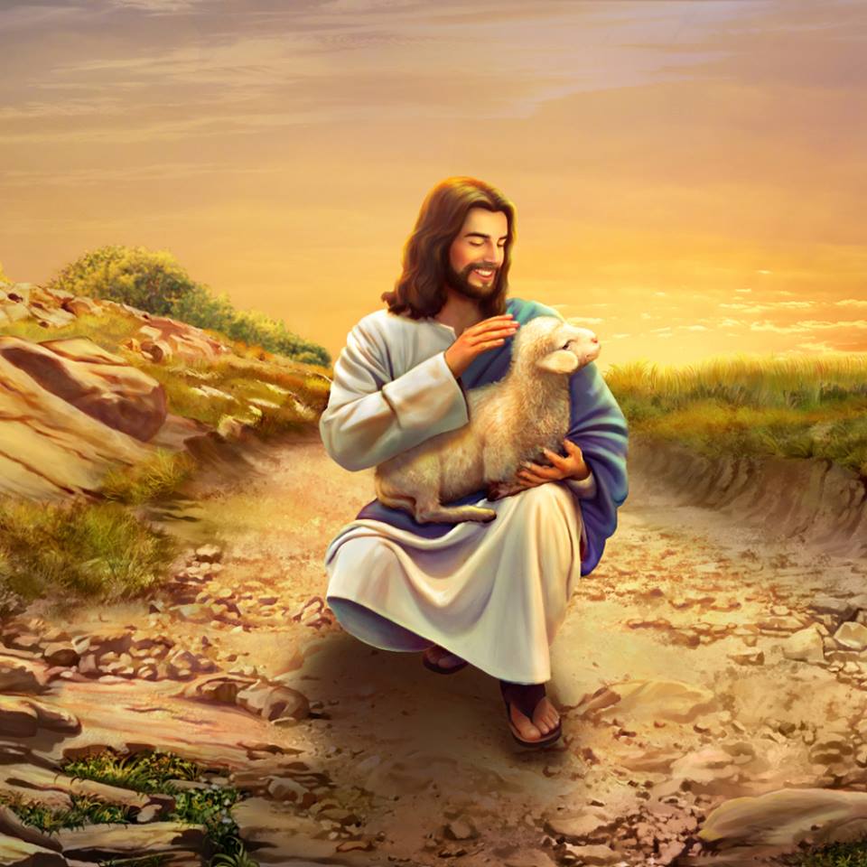 CAGchurchnl's tweet photo. Wat is Gods wil voor de mensheid in de metafoor van ‘Verloren schaap zoeken’ dat de Heer heeft gesprok?
Mattheüs18:12-14
📖 https://t.co/1pnJ2yDJYS
#deLam #Schepper #God #Jezus #redding #genade #gezag #hart #Godswil #Godsliefde #Goed #Christen https://t.co/TYV6Athw3W