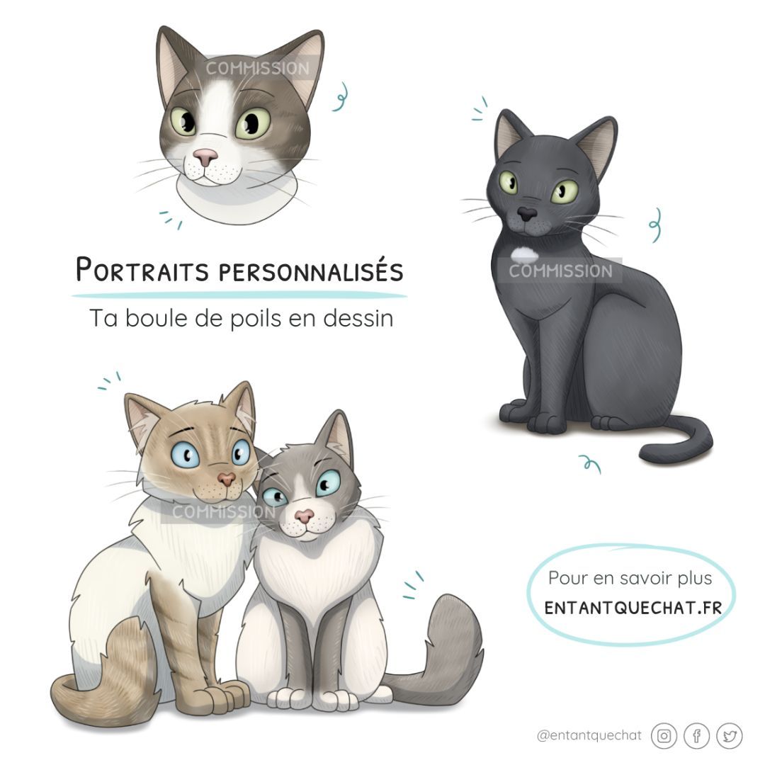 entantquechat's tweet photo. Hey ! J'ouvre quelques places pour #dessiner vos chats 😺 Toutes les infos ➡️ https://t.co/Nqf707TE5M - #commissions #portraitdechat #portraitchat #portraitpersonnalise #illustratrice #illustration #dessin #chatdessin #illustrationportrait #portraitillustration https://t.co/PQLVIWBYrv