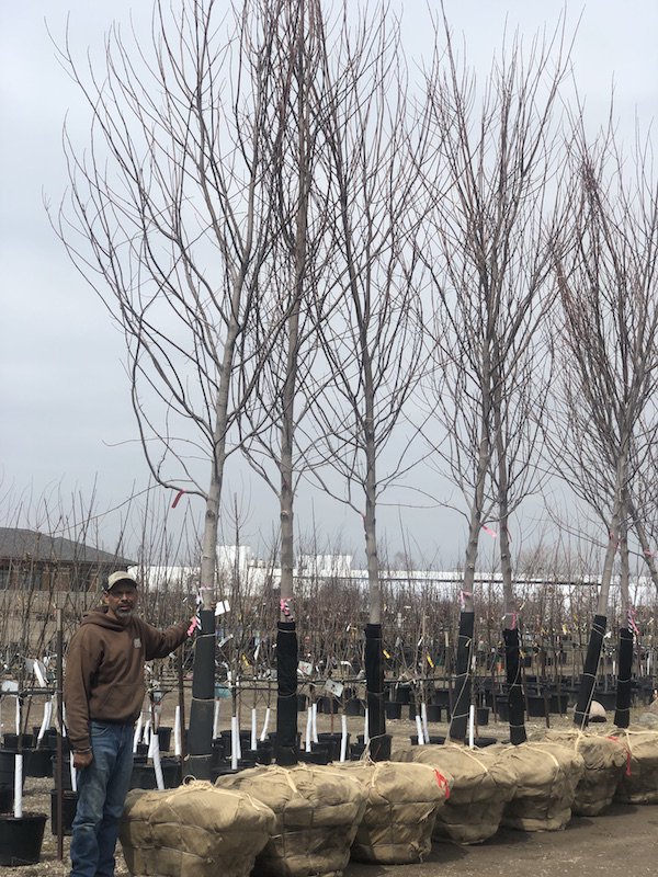 The Barn Nursery tweet media