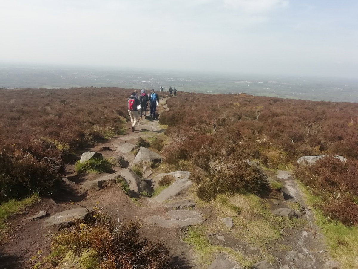 STMCAdofe tweet media