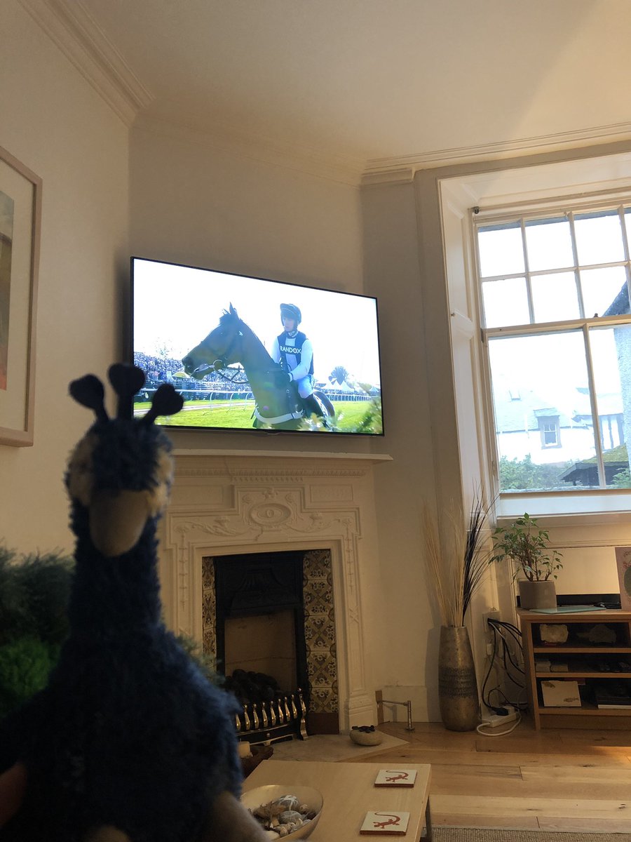 Perry_Peacock's tweet photo. Best of luck to my friend SingleFarmPayment in today’s #GrandNational2019 
Unfortunately Horris was too ill to take part this year 🐎 https://t.co/UcrhzdvrqW