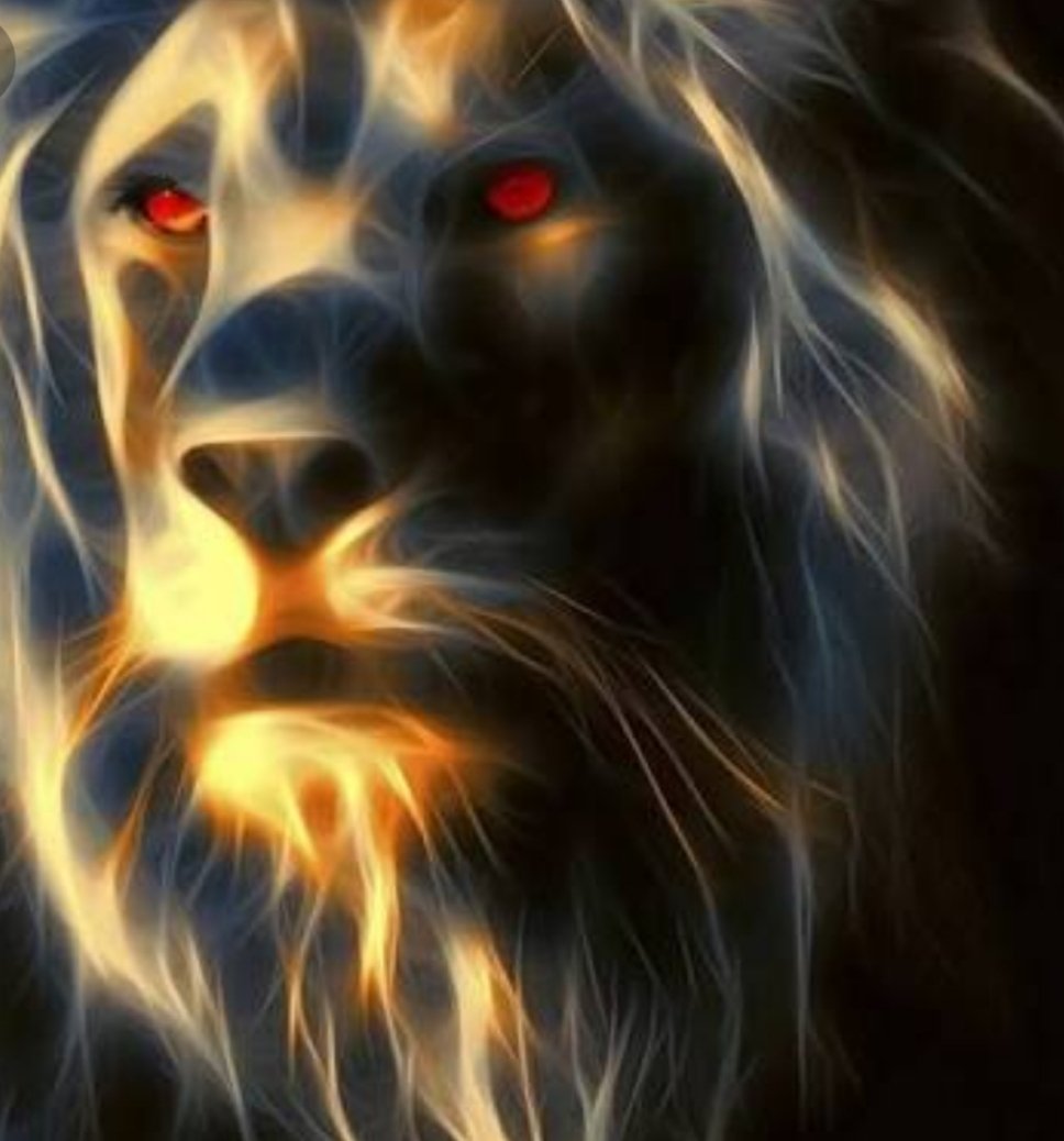 ece_oya's tweet photo. Allahım sen konuyu biliyorsun 💛❤💛❤🦁🦁🦁🦁🦁🦁🦁,#BugünGünlerdenGALATASARAY #GSvYMS #WelcomeHomeDROGBA #SaldırGALATASARAY https://t.co/20hkN0xYxU