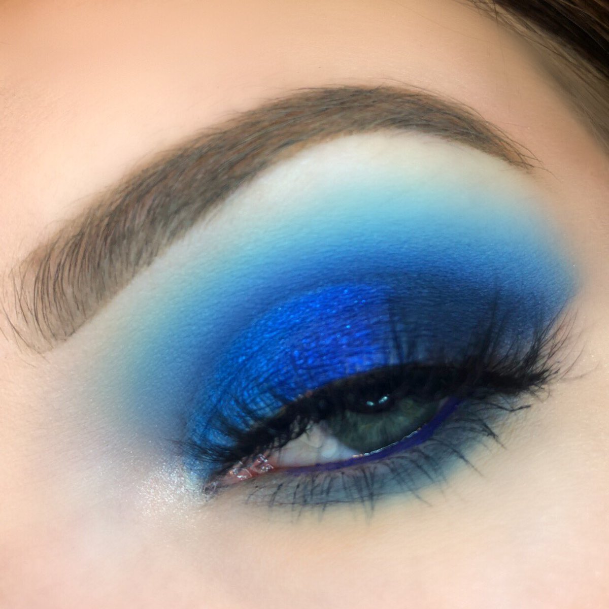 JeffreeStar tweet picture