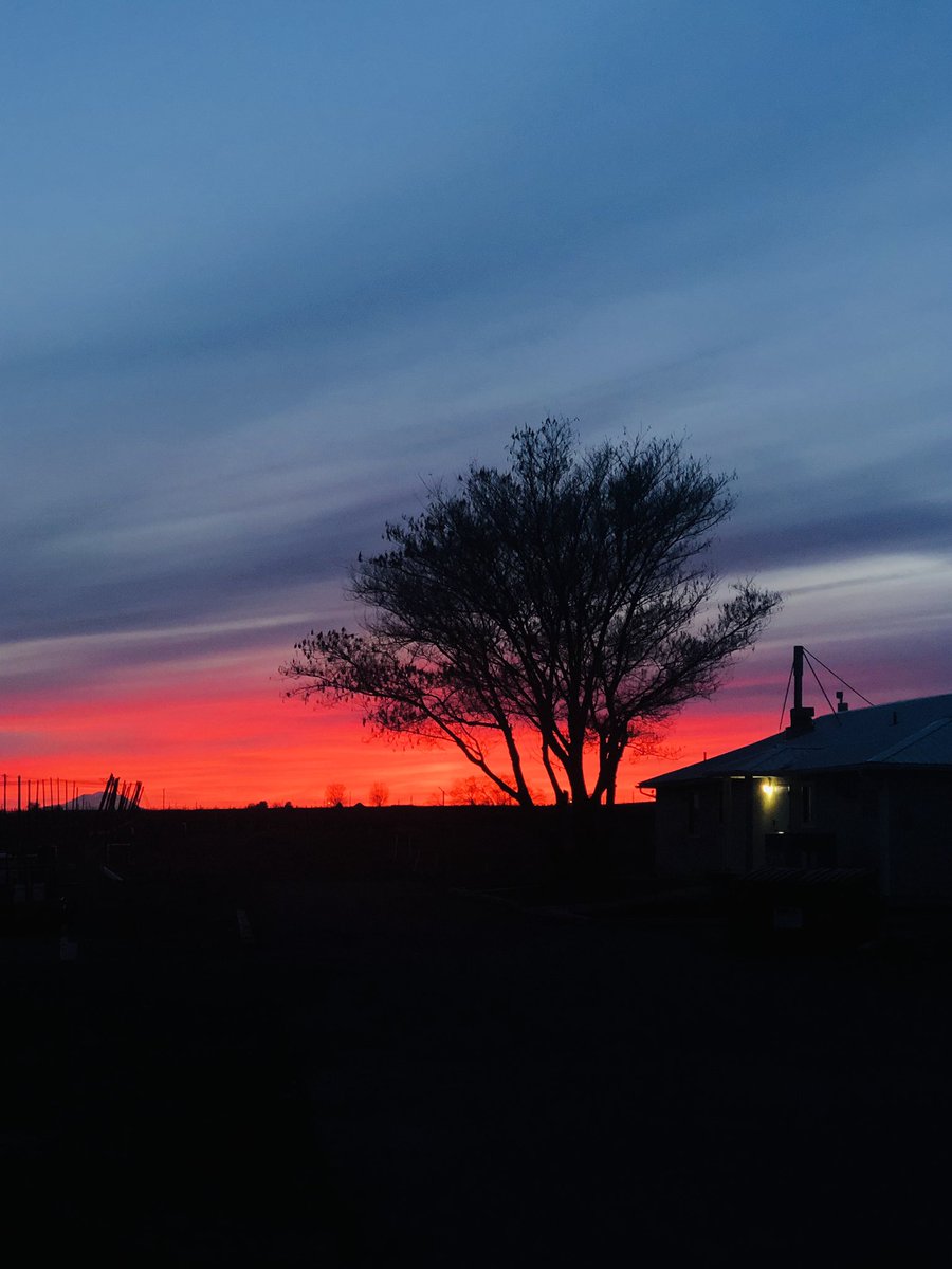 rajeevsnha's tweet photo. A remote WSU Center sometimes has awesome sunset views @WSU_IAREC @WazzuCpaas https://t.co/XRwlBe0r0n