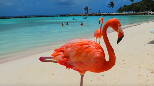 Griswicks's tweet photo. Hey, all. Episode #53 ("The Baboon Lemons") of the Thread Raiders #podcast is now live.  We welcome our new sponsor @RPGKitchen, #BladesInTheDark, dalmatian pups, and the dietary habits of the flamingo. https://t.co/IJM5k0Rs3b https://t.co/OTIoGl3qsw