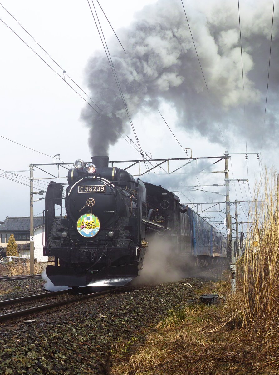 campanemula's tweet photo. 1日目の収穫。
.
2019.4.6 東北本線 盛岡-一ノ関
.
#SL銀河 #C58_239 #いわて幸せ大作戦 #鉄道 #岩手 #愛玩客 #iwalker #行くぜ東北 #絶景 #supreme #tohoku #japan #cool #SL #steam_locomotive #galaxyexpress https://t.co/TnFHytEJCu