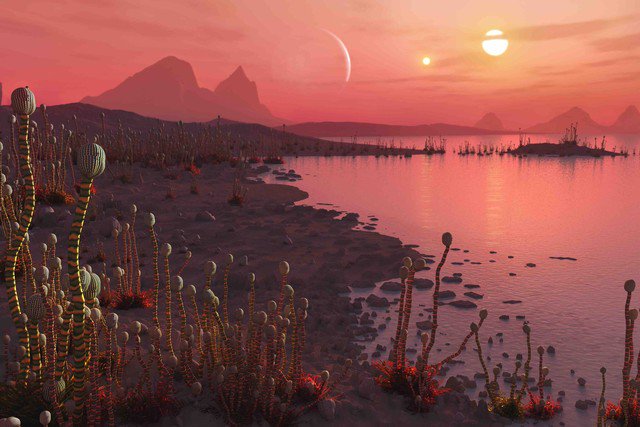 Computer simulations show that the passage of a star close to a binary system can help life to appear by creating a bigger goldilock zone.

#astrobiology #life #cosmos #exoplanets #astronomy

academic.oup.com/mnrasl/advance…