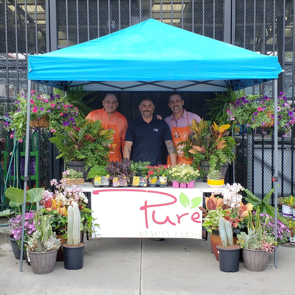 pauld_PBF's tweet photo. Garden Party Event today at Merchants Walk store#111.. @HectorAPadilla @ChrisBergHD @freddyplants @TTChapman13 @DominiqueBidon @PBFmedia @anavarro52069 #GardenParty #SpecialBuys #Annuals #Cactus #Succulents #Vegetables #Herbs https://t.co/7Yh7B1UaHg