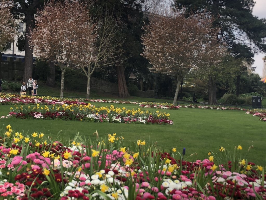 GeorgiaTurner's tweet photo. #BCPfirst in @BCPCouncil @bmthparks Lower Gardens. Looking absolutely stunning. #bournemouth #spring https://t.co/tNWWh6uktF