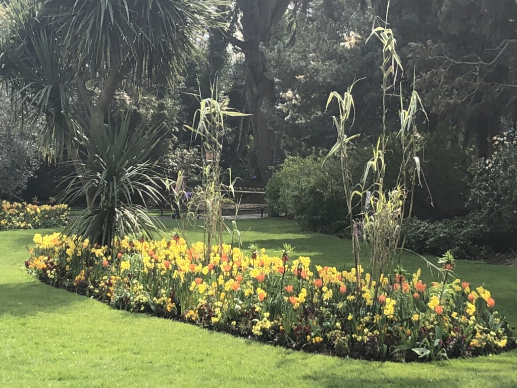 GeorgiaTurner's tweet photo. #BCPfirst in @BCPCouncil @bmthparks Lower Gardens. Looking absolutely stunning. #bournemouth #spring https://t.co/tNWWh6uktF