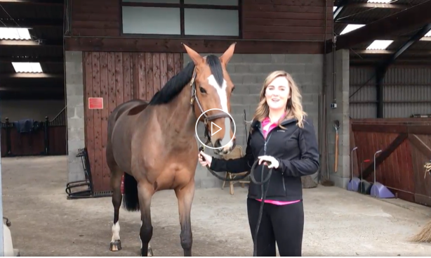 🙋‍♀️🙋‍♂️We kunnen jouw stem goed gebruiken🙏🙏! 
Julie's vlog van de manege aan de Heiweg 5a in Oud-Alblas is door Funda genomineerd als VIDEO VAN DE MAAND! Stemmen kan tot 15 april. Delen=❤️ bit.ly/2CZXHY1