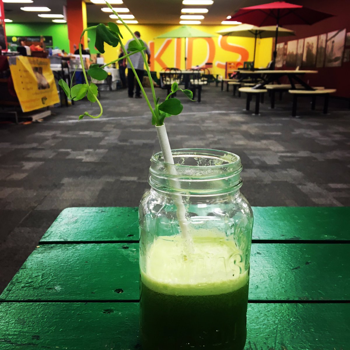 Tiny Greens Plant Shop tweet media