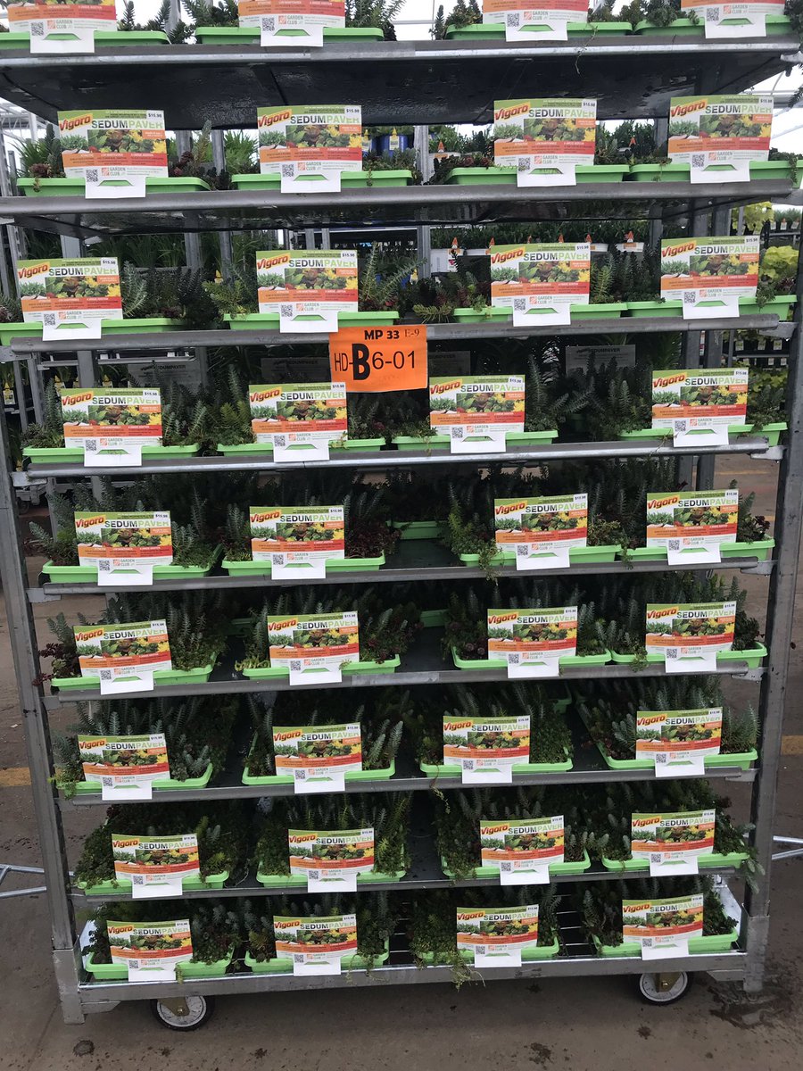 Some beautiful perennials heading to Home Depot <a href="/KOKOLGM/">Mark Kociubinski</a> <a href="/GCGService/">GCG Merchandising</a> <a href="/DanStuppiello/">Dan Stuppiello</a> <a href="/ics_plants/">ICS_PlantSpecialists</a>