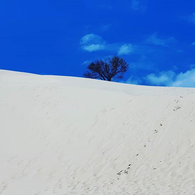 aeshine's tweet photo. Special place. https://t.co/Ur6OZOBQUp https://t.co/zcU1YRAiTQ
