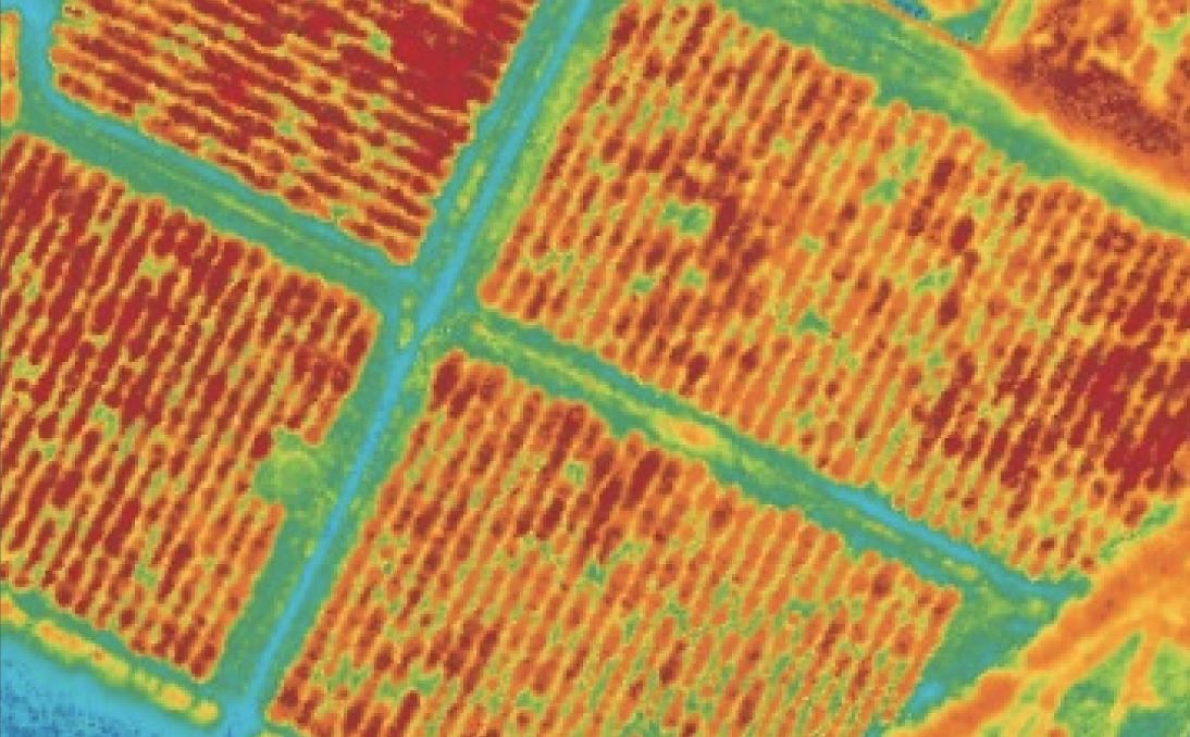 In partnership with <a href="/CTAflash/">CTA</a> and <a href="/AfGoesDigital/">Africa Goes Digital Inc.</a> we are developing local business cases for optimizing profits for Kenyan farmers through use of multispectral drones images #DisruptiveAgriTech #precisionfarming #potatoes #avocadoes #wheat #sugarcane @upande
