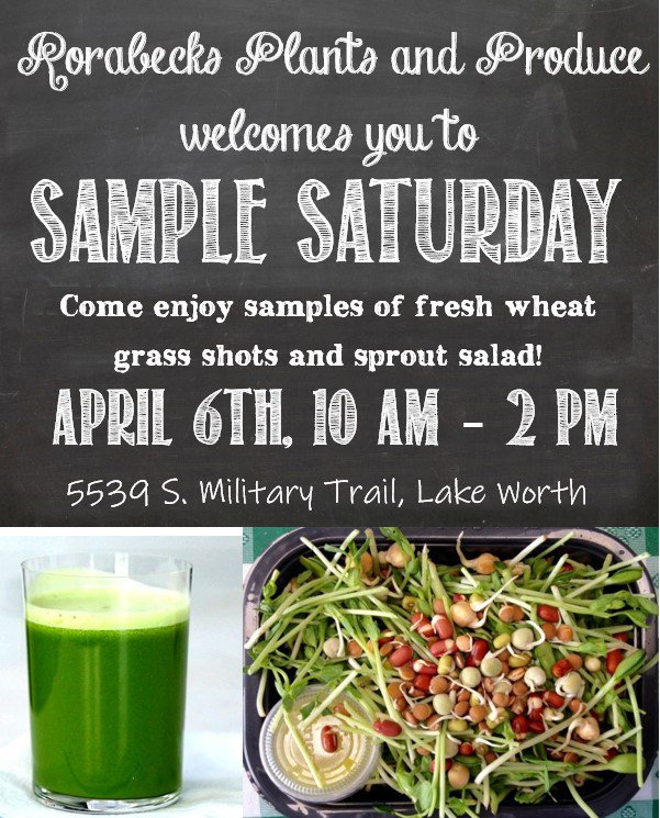RorabeckProduce's tweet photo. Sample Saturday! Come enjoy samples of wheat grass shots and sprout salad. April 6th, 10 AM - 2 PM https://t.co/2kq7KGWSXO