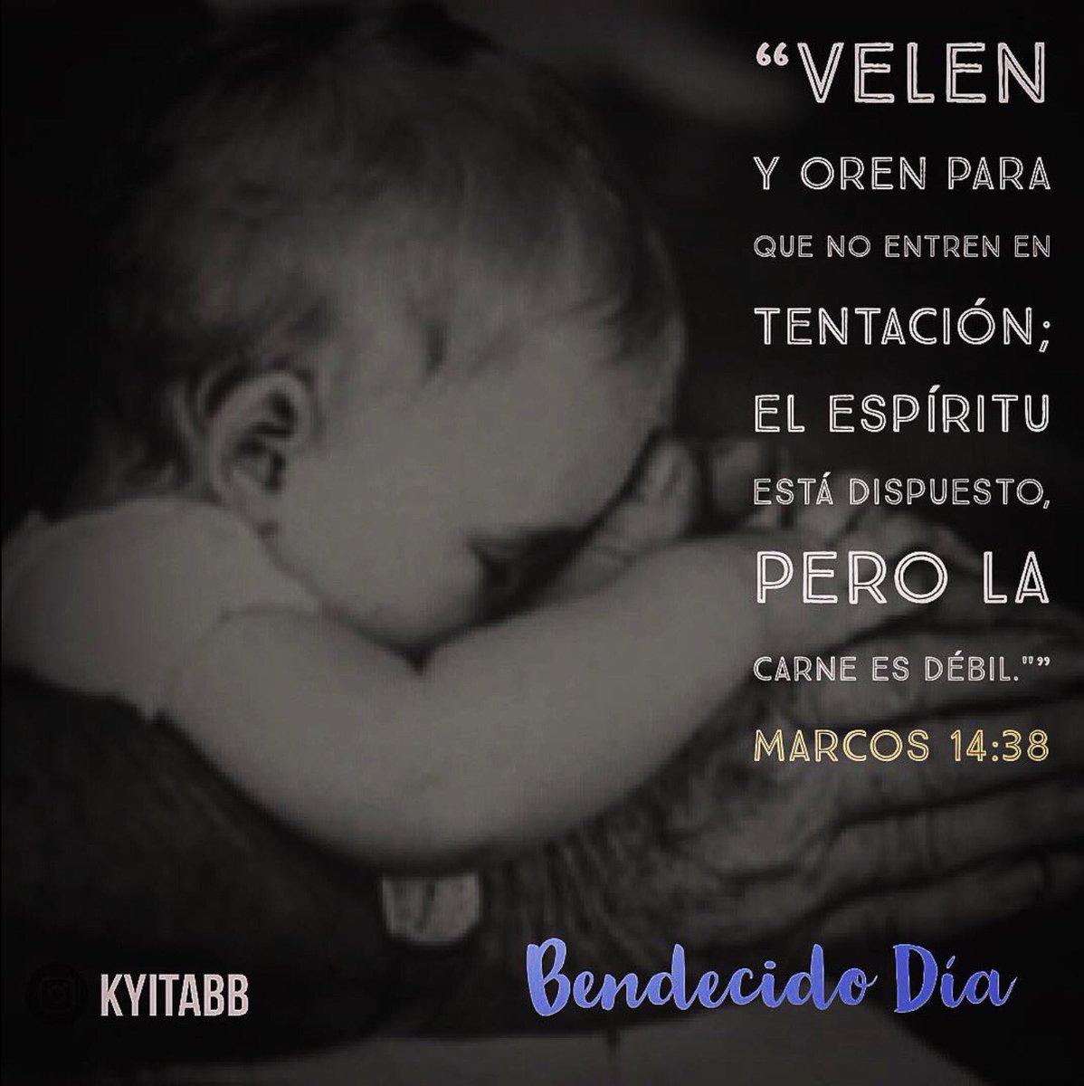 CLAUDIARomanill's tweet photo. #BendecidoDía
“Velen y oren para que no entren en tentación; el espíritu está dispuesto, pero la carne es débil."”
#Marcos14_38
#KYITABB https://t.co/FRiIXDRtId