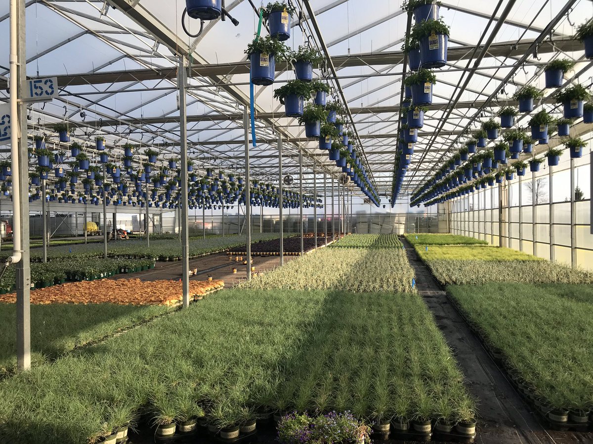Springtime at the greenhouse is great! <a href="/DanStuppiello/">Dan Stuppiello</a> <a href="/ics_plants/">ICS_PlantSpecialists</a> <a href="/GCGService/">GCG Merchandising</a> <a href="/KOKOLGM/">Mark Kociubinski</a>
