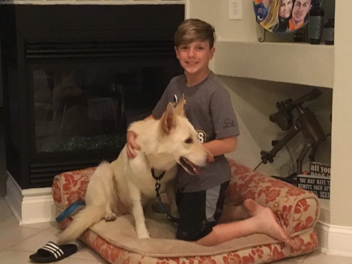 tennispatriot's tweet photo. #BrockStars new addition, a rescue from #EchoDogs welcome our new baby, Sampson. @JDRFCentralFL @randysportsdoc https://t.co/LBQDIzNCvb