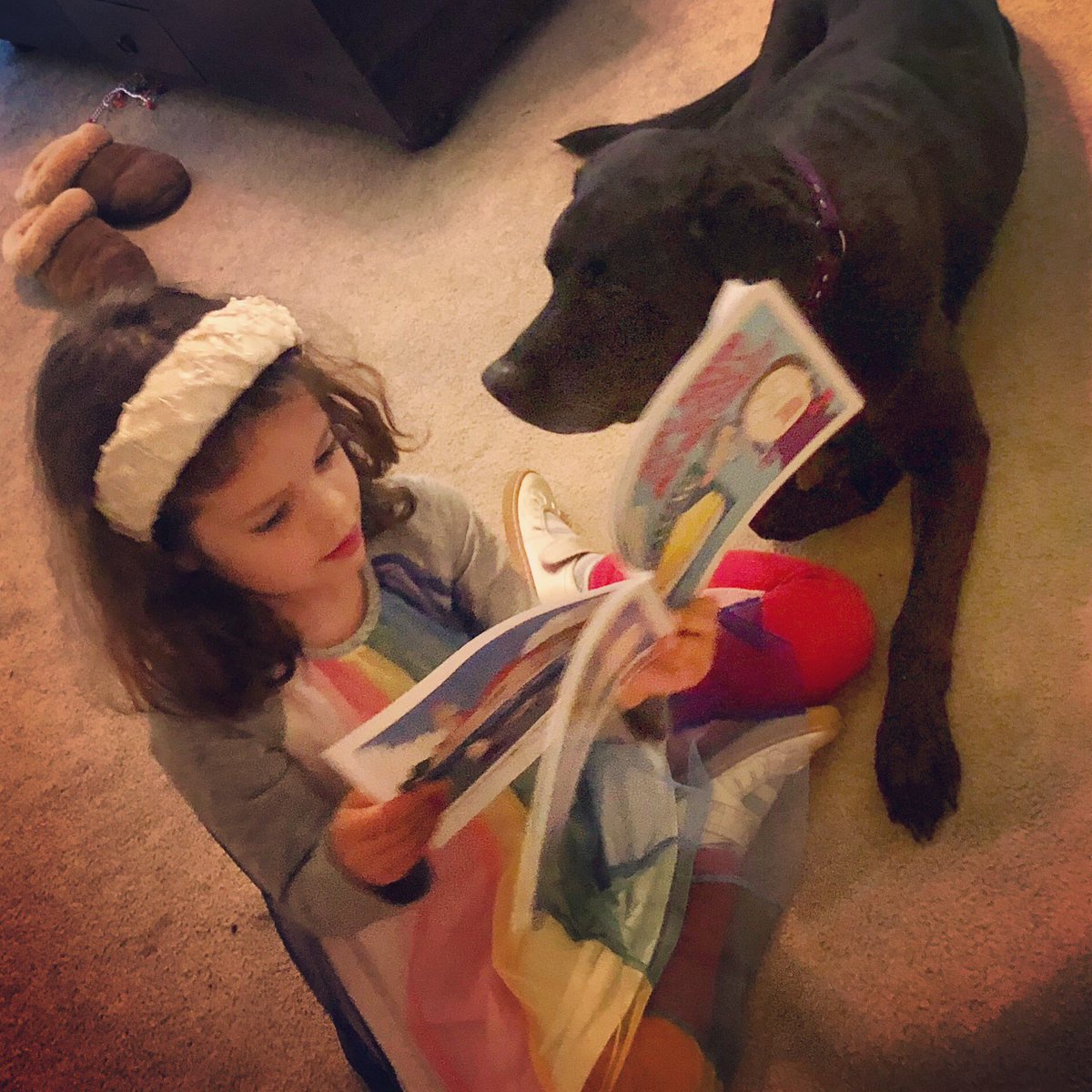 ryannusbickel's tweet image. One of my editors reading my gooey butter cake book to our latest focus group.  #gooeybuttercake #stlouisfoodie nusbickelbooks.com #stlouisstyle