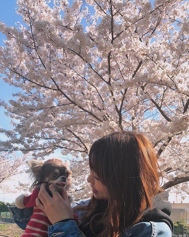 8359si's tweet photo. 来年も一緒に🌸

#小梅#ダイスキ https://t.co/ZOkfEHhCaE https://t.co/YuiLO7OyzW