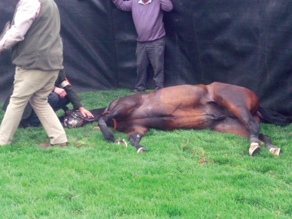#GrandNationaltips #GrandNationalDay 

Since the start of the Grand National in 1839, there have been 83 deaths on the course.

Today, two more.

When is this carnage that masquerades as sport going to end?